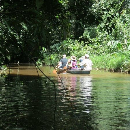 Miss Junies Lodge Tortuguero Eksteriør billede