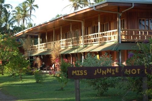 Miss Junies Lodge Tortuguero Eksteriør billede