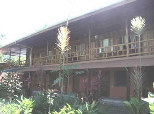 Miss Junies Lodge Tortuguero Eksteriør billede