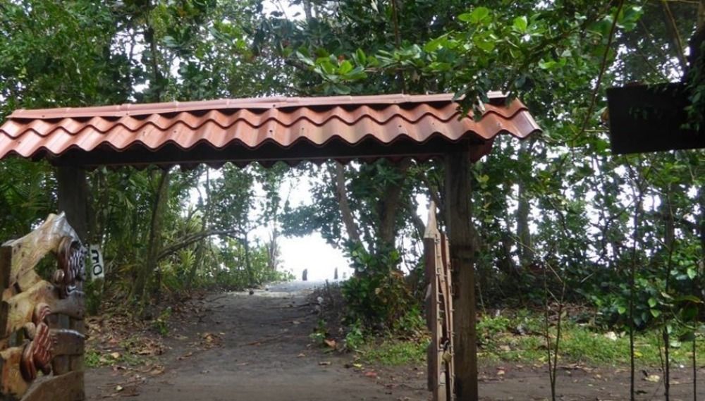Miss Junies Lodge Tortuguero Eksteriør billede