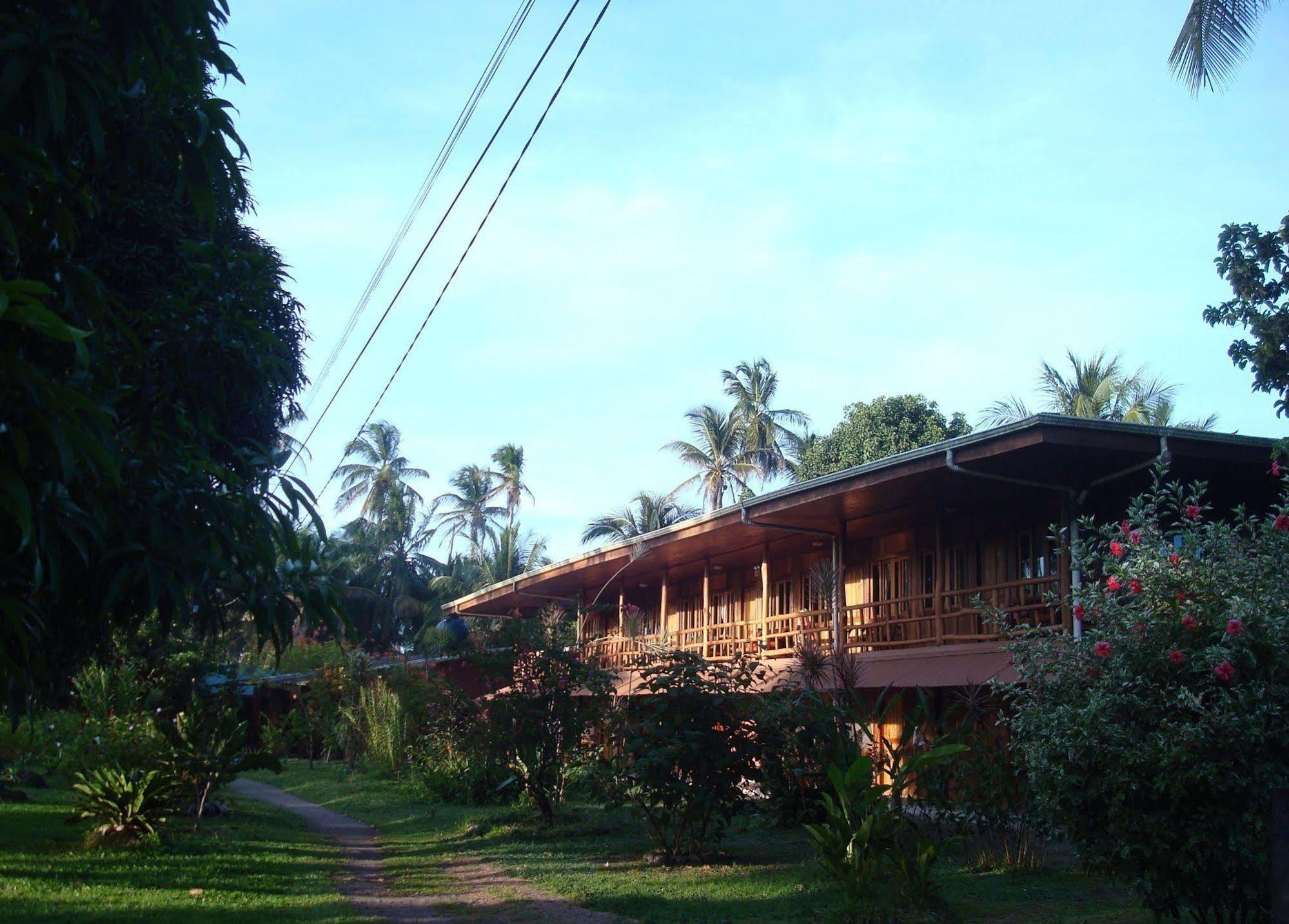 Miss Junies Lodge Tortuguero Eksteriør billede